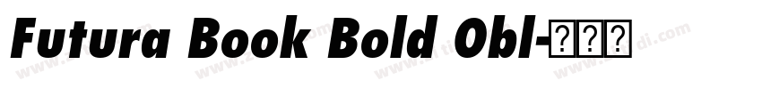 Futura Book Bold Obl字体转换